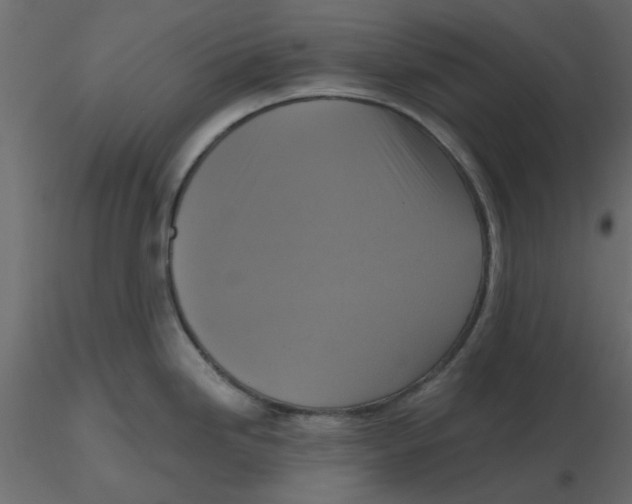 X0000116551246200912311905