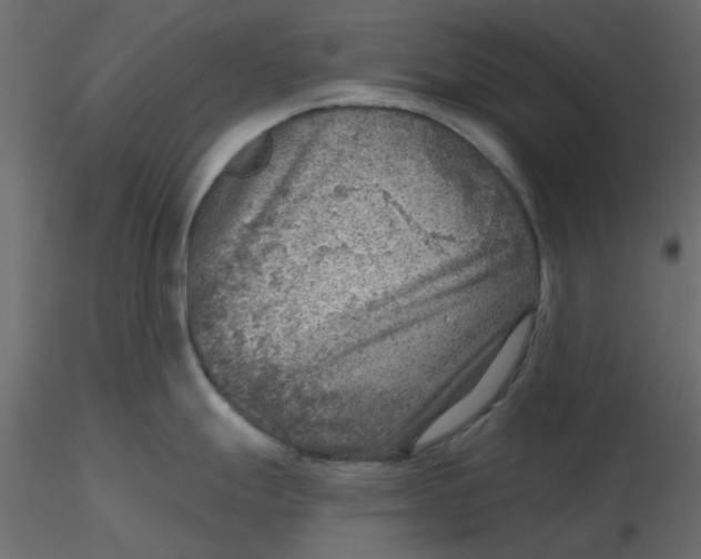 X0000116551247200912311905