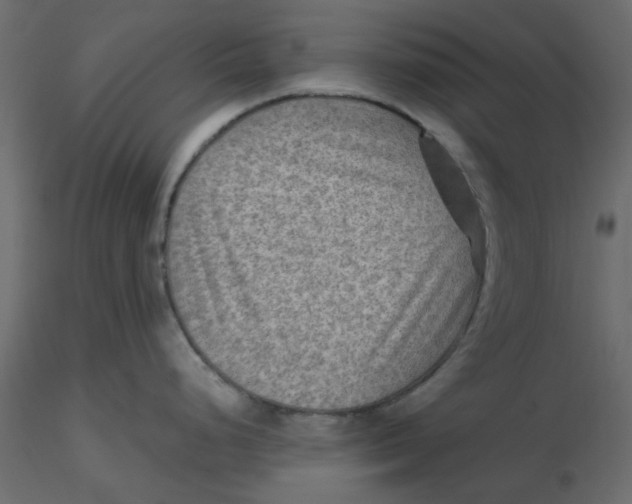 X0000116551248200912311905