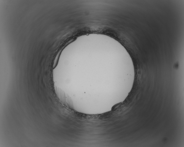 X0000116551249200912311904