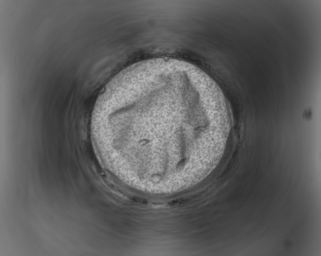 X0000116551250200912311904