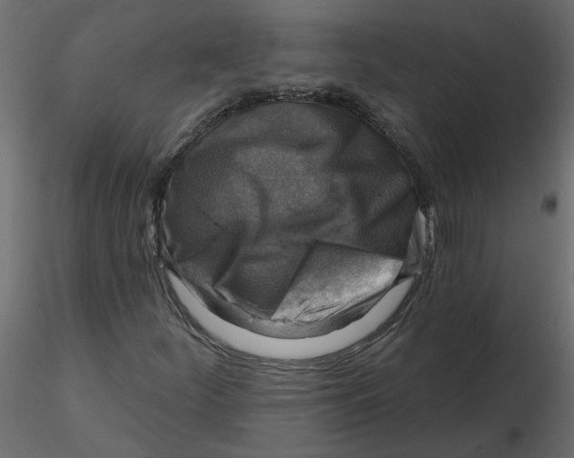 X0000116551252200912311904