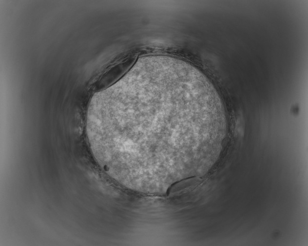 X0000116551253200912311904