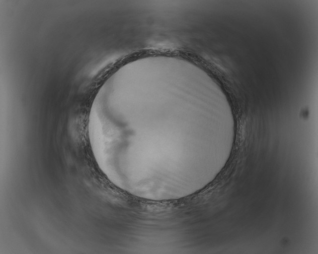 X0000116551254200912311904