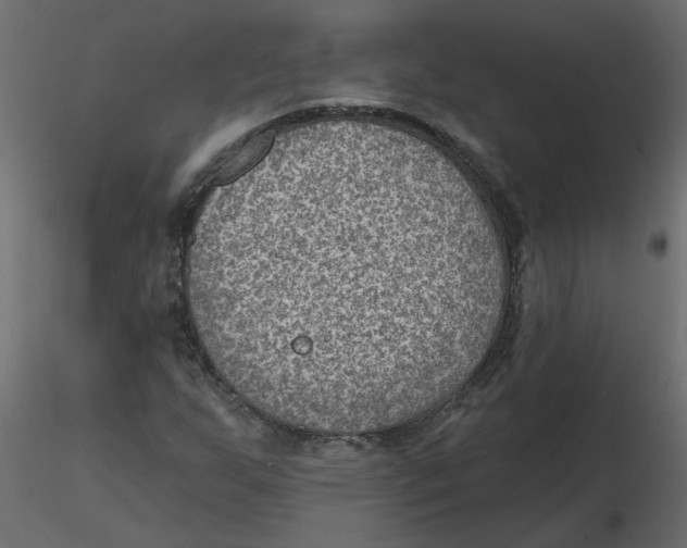 X0000116551255200912311904