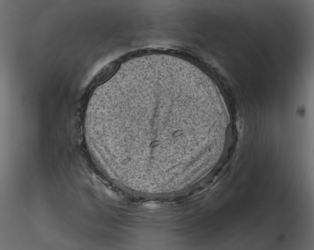 X0000116551256200912311904