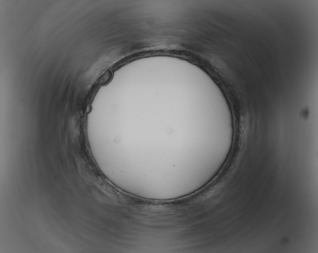 X0000116551257200912311904