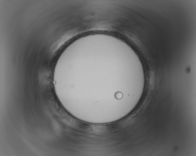 X0000116551258200912311904