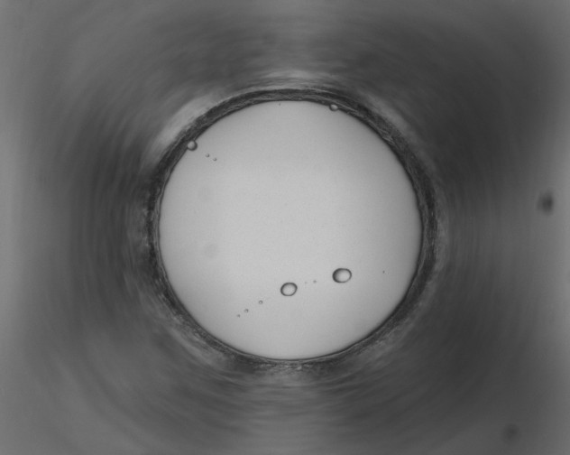 X0000116551259200912311904