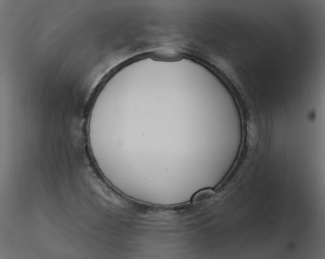 X0000116551260200912311904