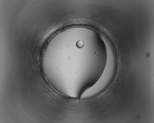 X0000116551261200912311904