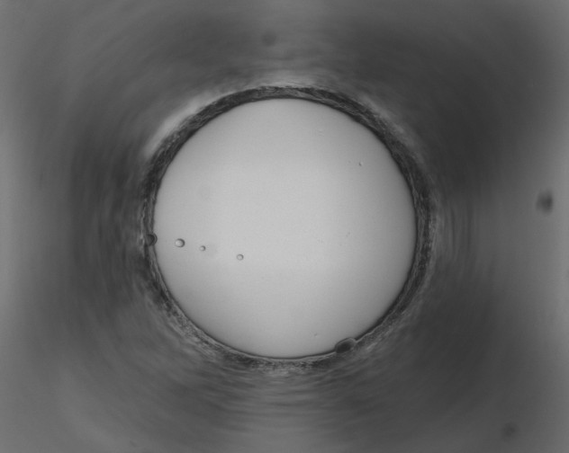 X0000116551262200912311904