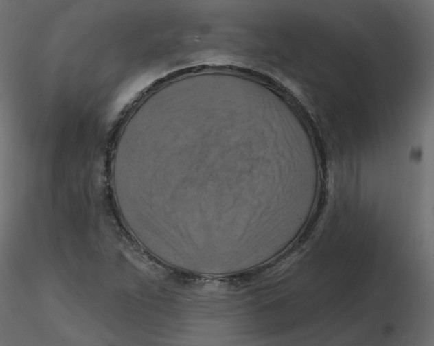 X0000116551263200912311904