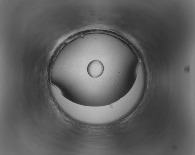 X0000116551264200912311904