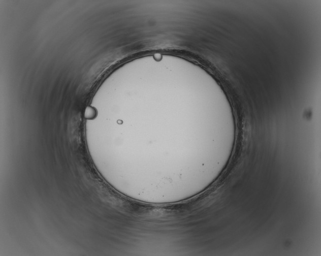 X0000116551265200912311904