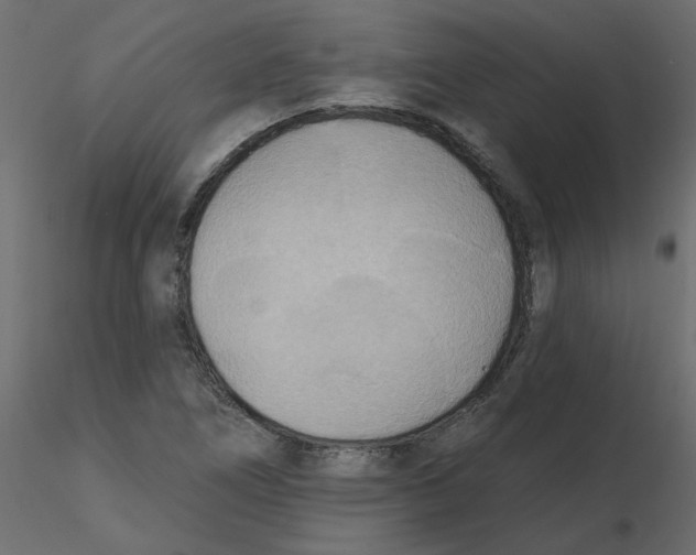 X0000116551266200912311904