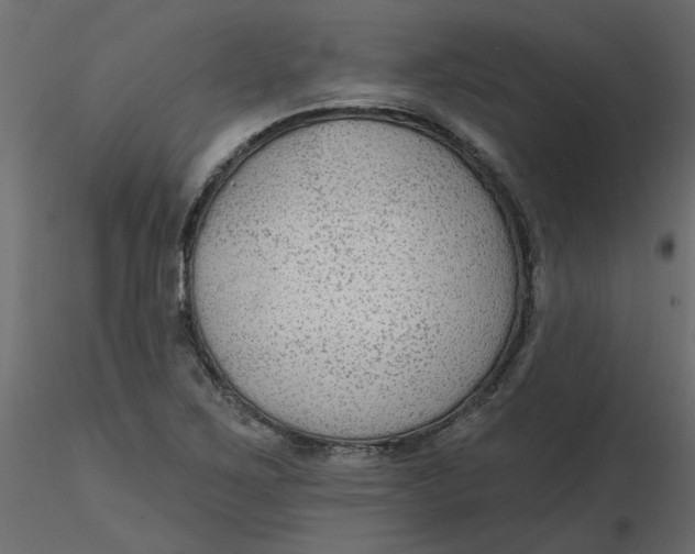 X0000116551267200912311904