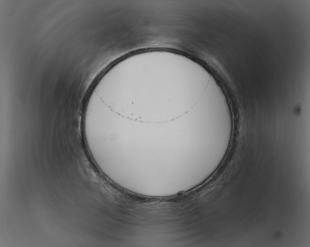 X0000116551268200912311904