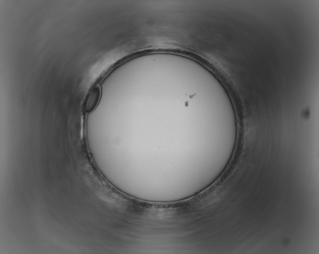 X0000116551269200912311904