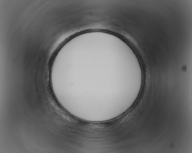 X0000116551270200912311904