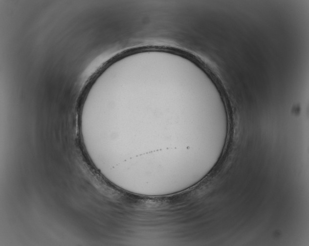 X0000116551271200912311904