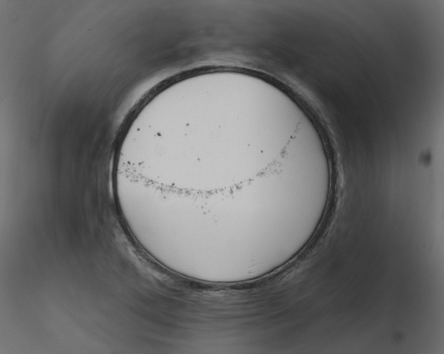 X0000116551272200912311904