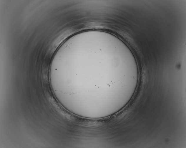 X0000116551273200912311904