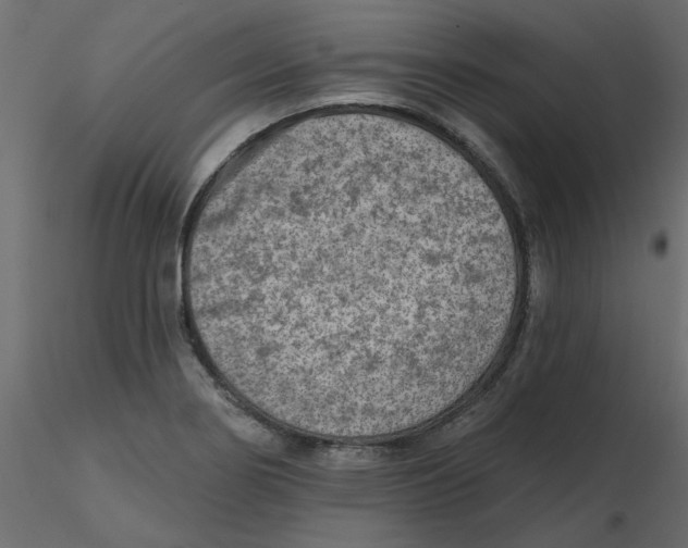 X0000116551274200912311904