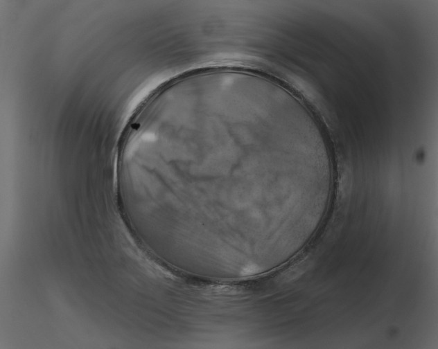 X0000116551275200912311904