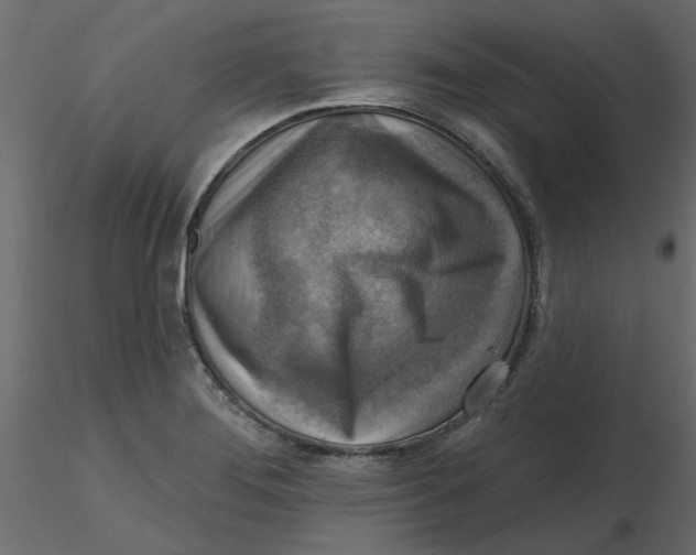 X0000116551276200912311904