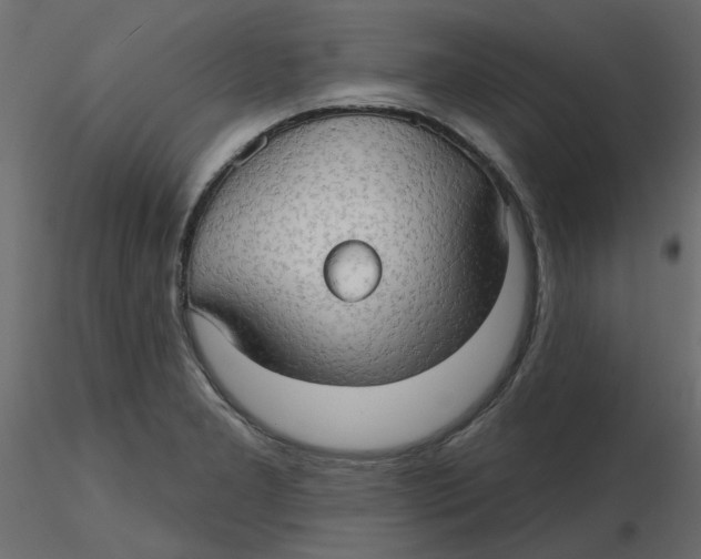 X0000116551277200912311904