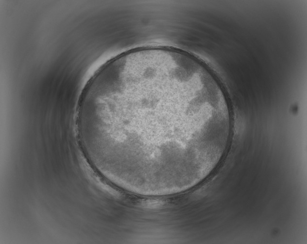 X0000116551278200912311904