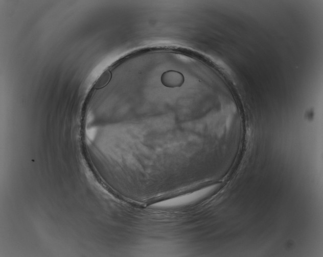 X0000116551279200912311904