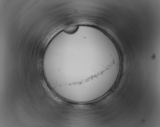 X0000116551281200912311904