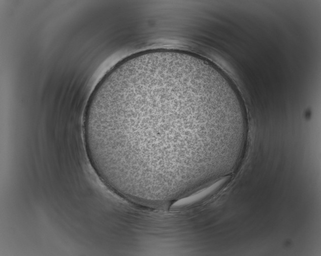 X0000116551283200912311904