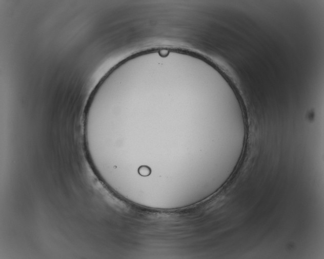 X0000116551287200912311904