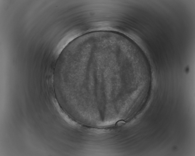 X0000116551289200912311904