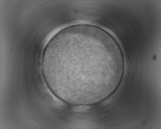 X0000116551294200912311904