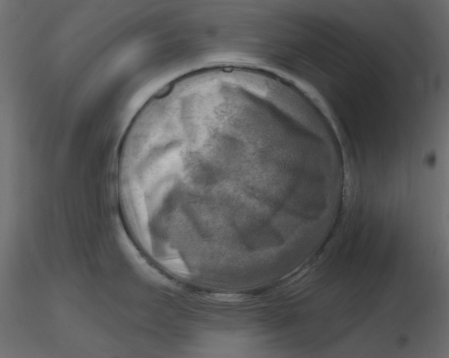 X0000116551295200912311904