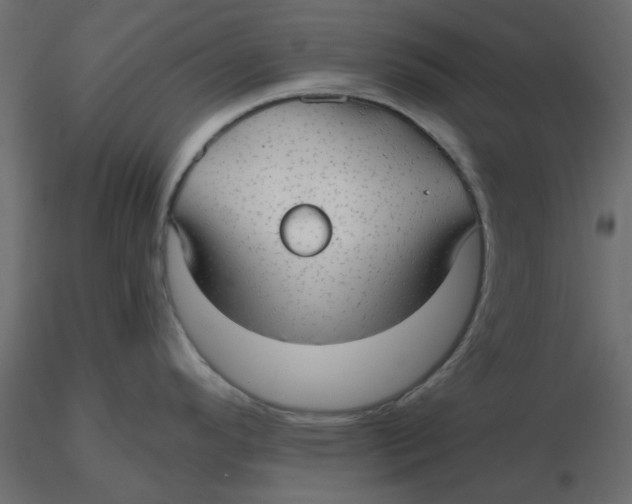 X0000116551296200912311904