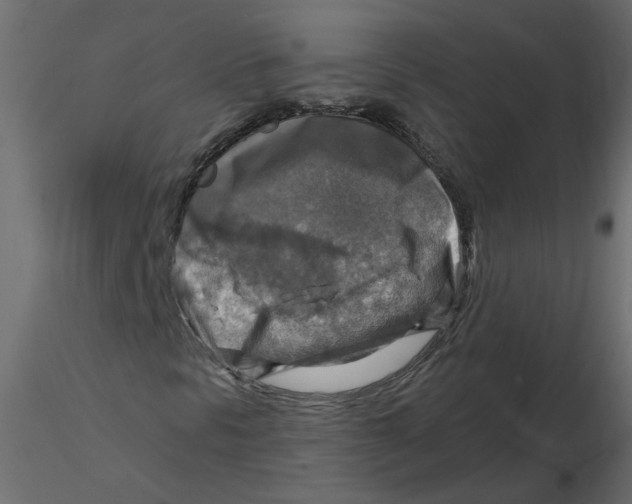 X0000116551297200912311903