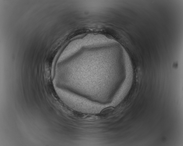 X0000116551298200912311903