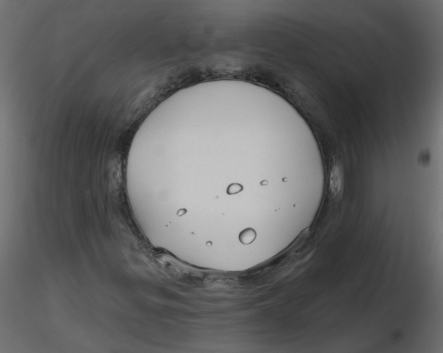 X0000116551299200912311903