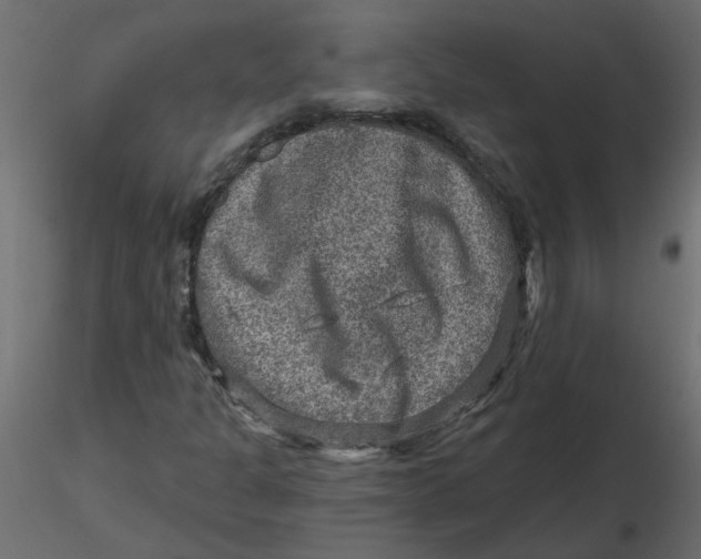 X0000116551301200912311903