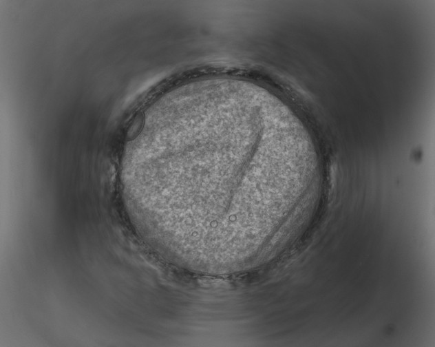 X0000116551302200912311903