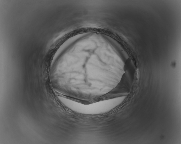 X0000116551303200912311903