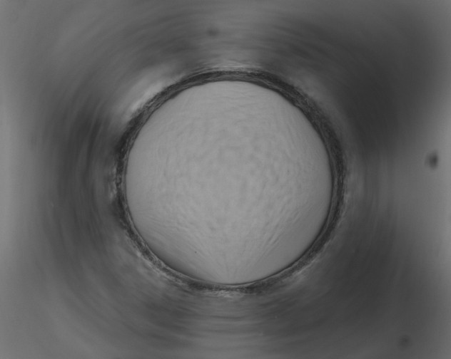 X0000116551306200912311903