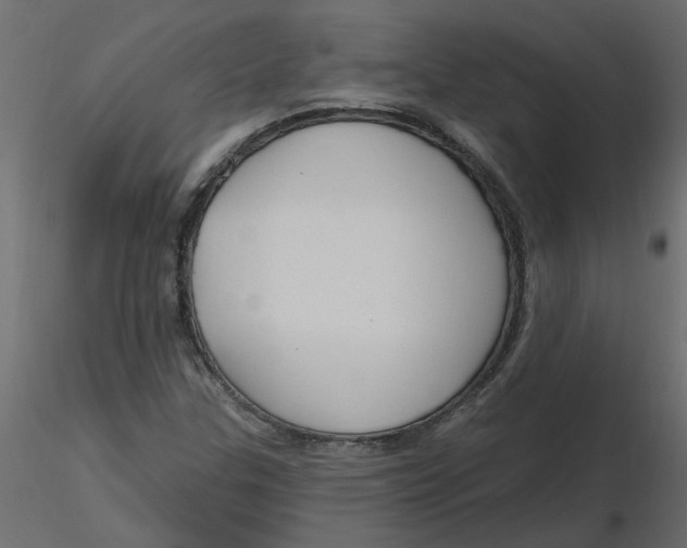 X0000116551307200912311903