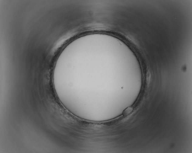 X0000116551309200912311903