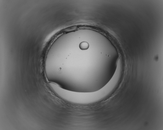 X0000116551310200912311903